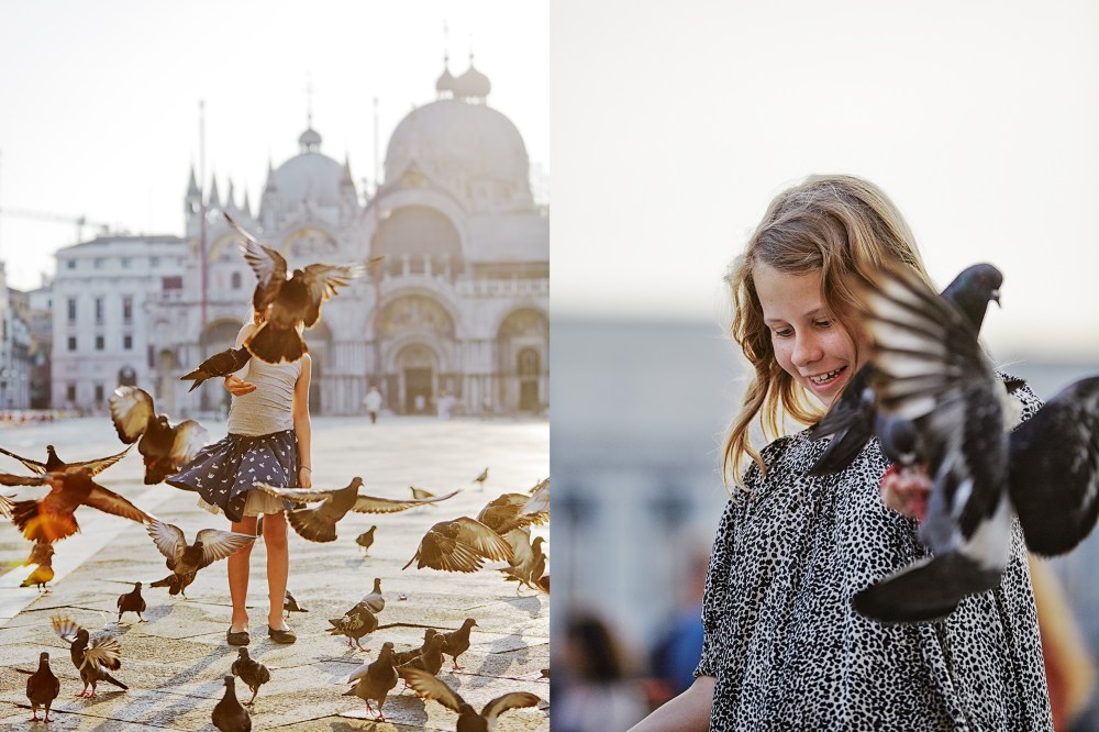 wagtailgirlsannakern_pigeons