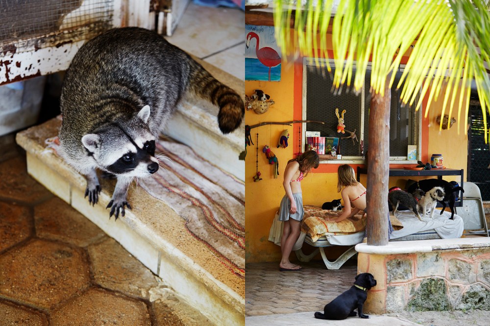 wagtailgirlsannakern_resque