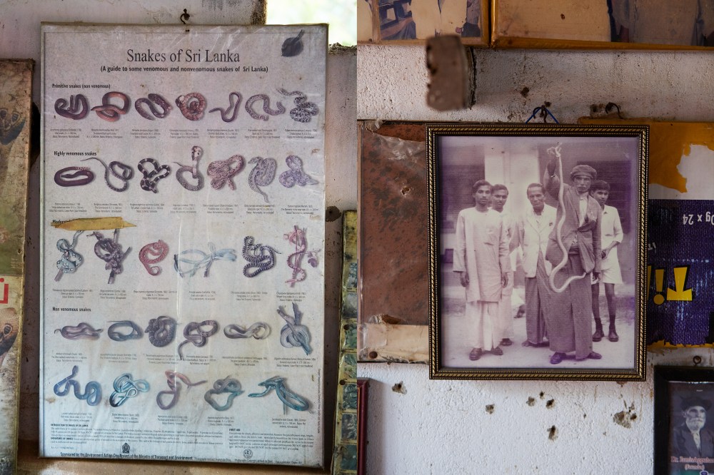 wagtailgirlsannakern_snake2