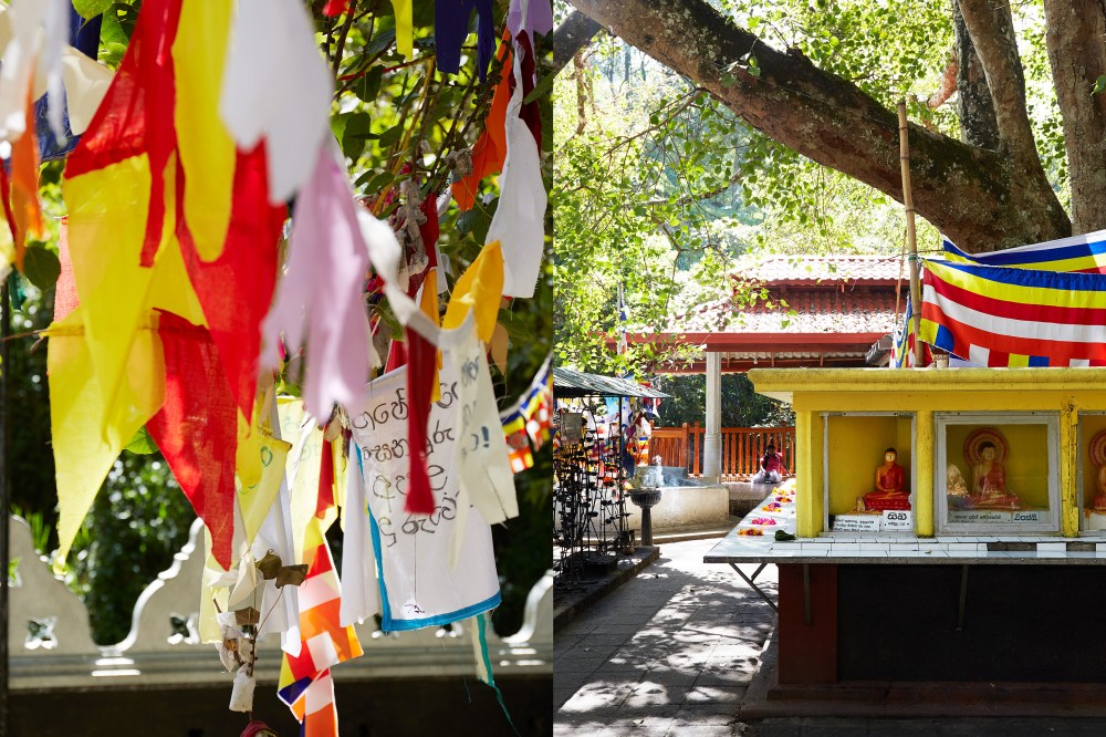 wagtailgirlsannakern_templex3