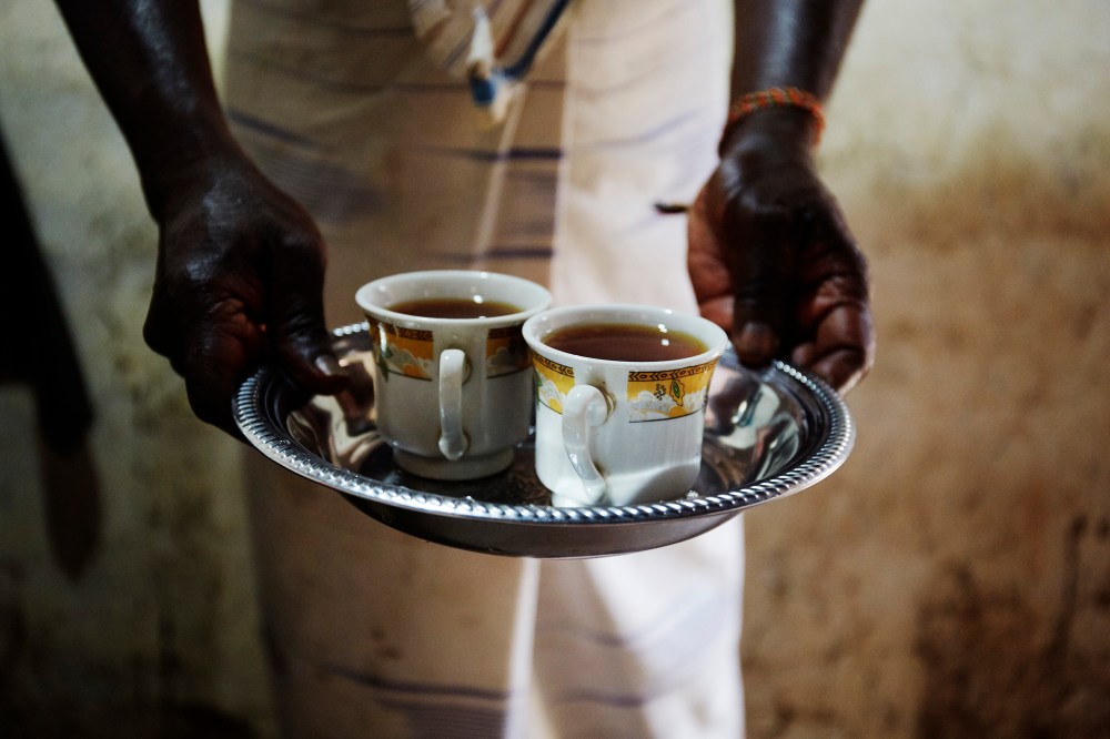 wagtailgirlsannakernI06A3208