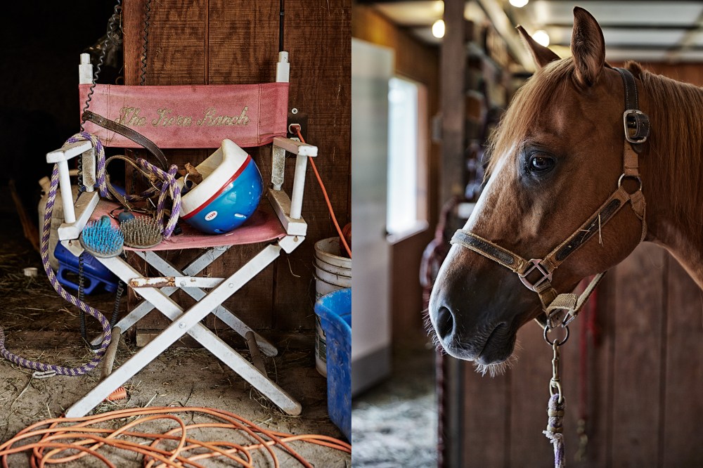 wagtailgirlsannakern_catskills1