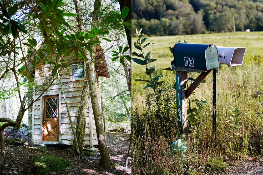 wagtailgirlsannakern_catskillswoods