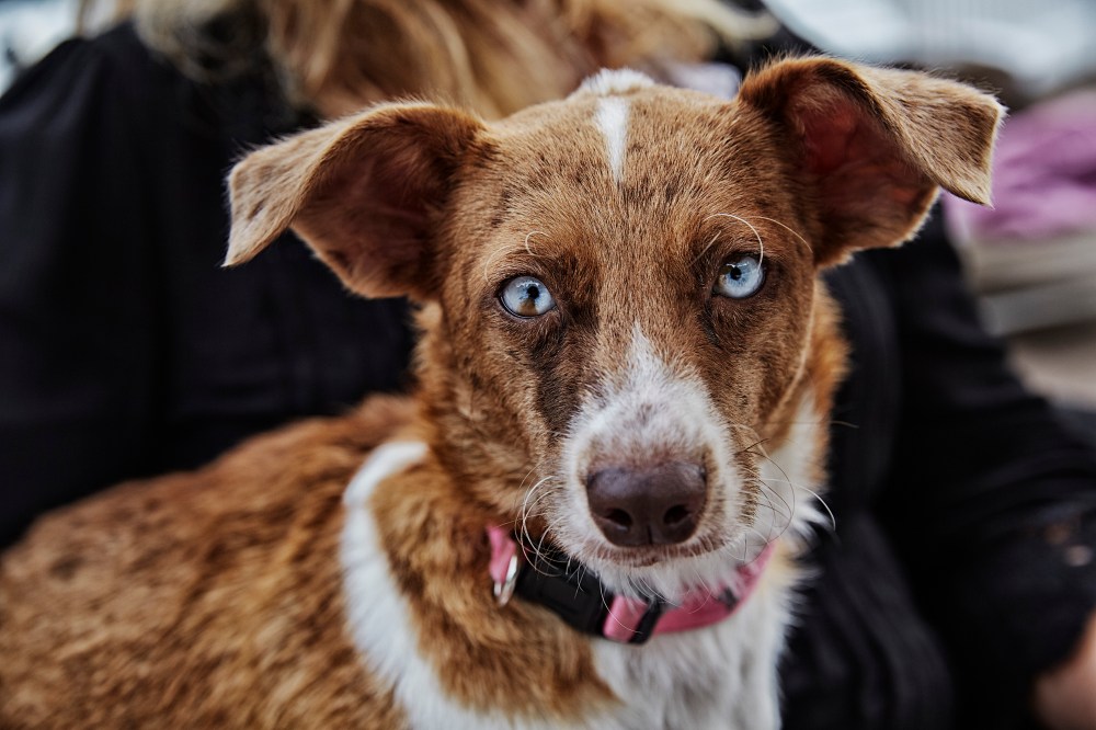 wagtailgirlsannakern_I06A1919