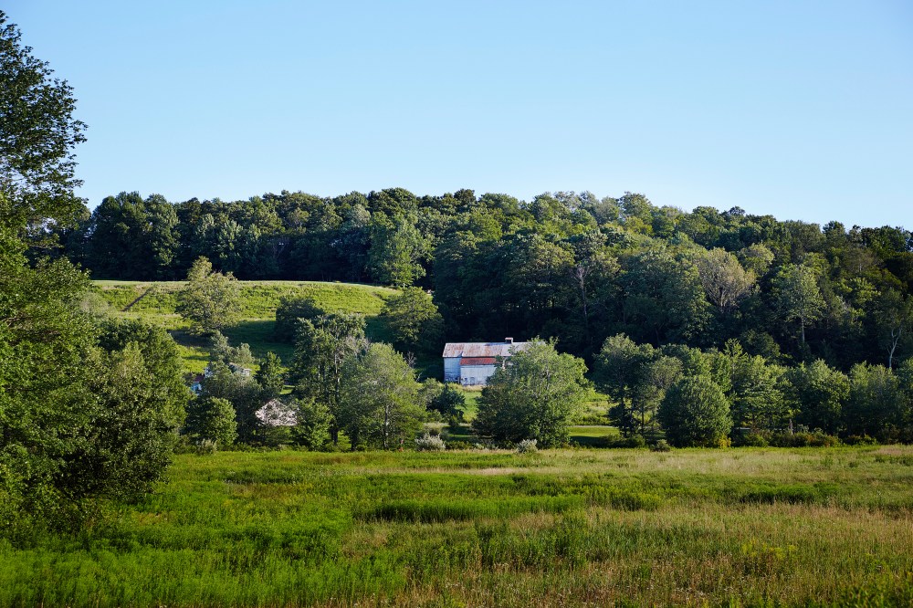 wagtailgirlsannakern_I06A2448