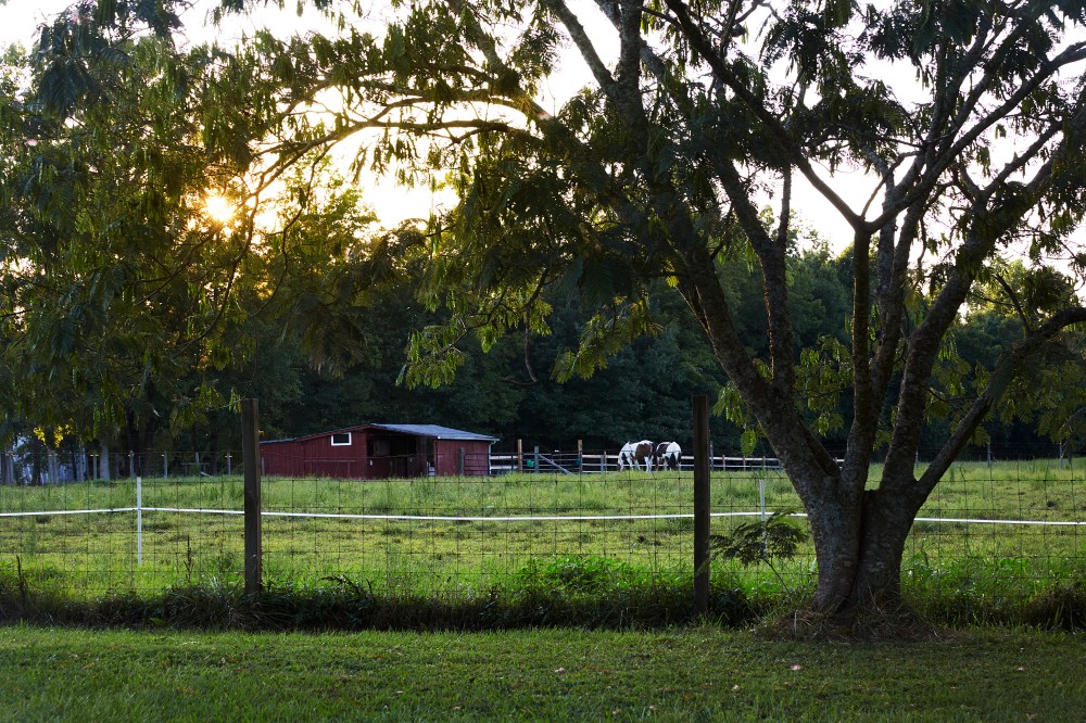 wagtailgirlsannakern_I06A3849