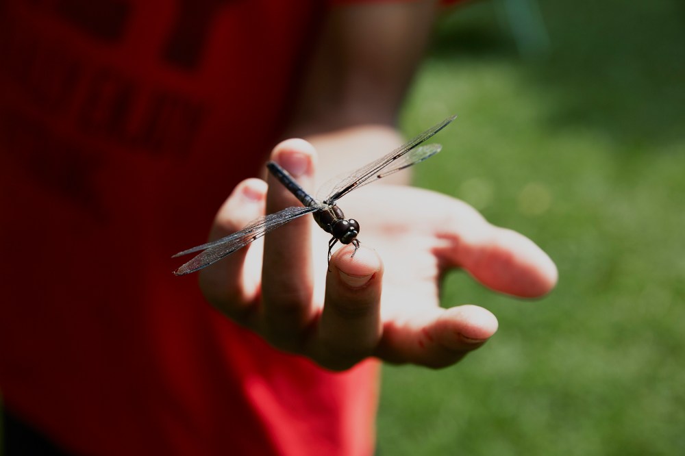 wagtailgirlsannakern_I06A3883