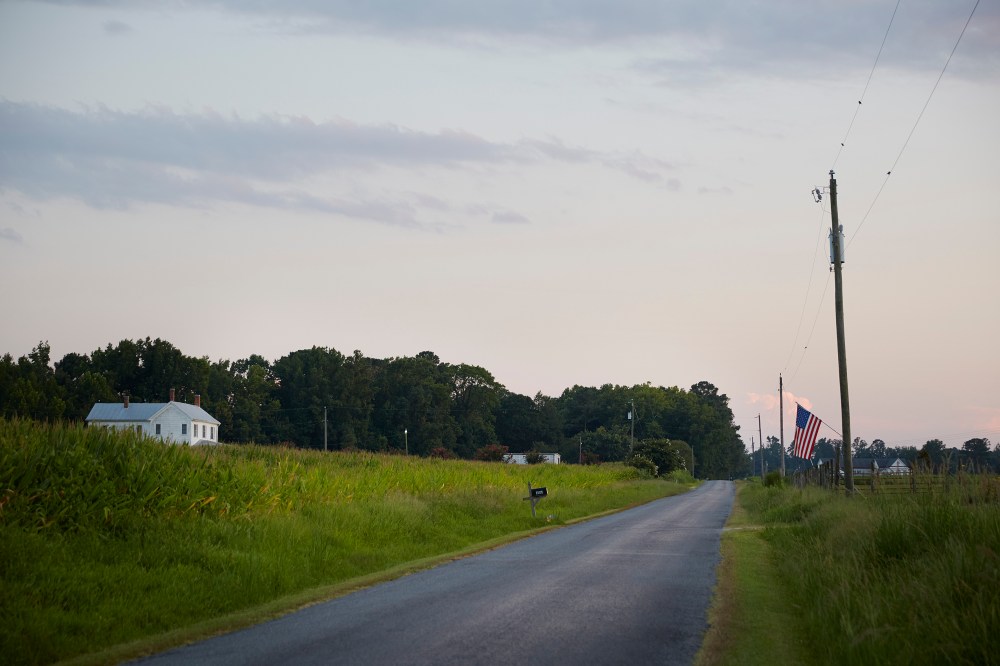 wagtailgirlsannakern_I06A3948