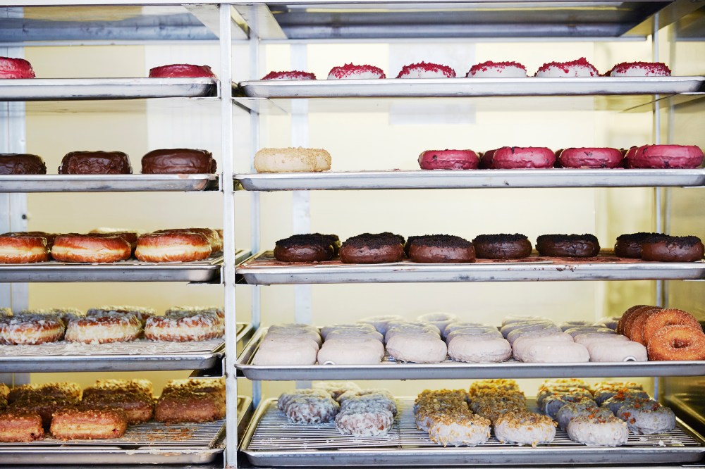 wagtailgirlsannakern_nyc_I06A0348