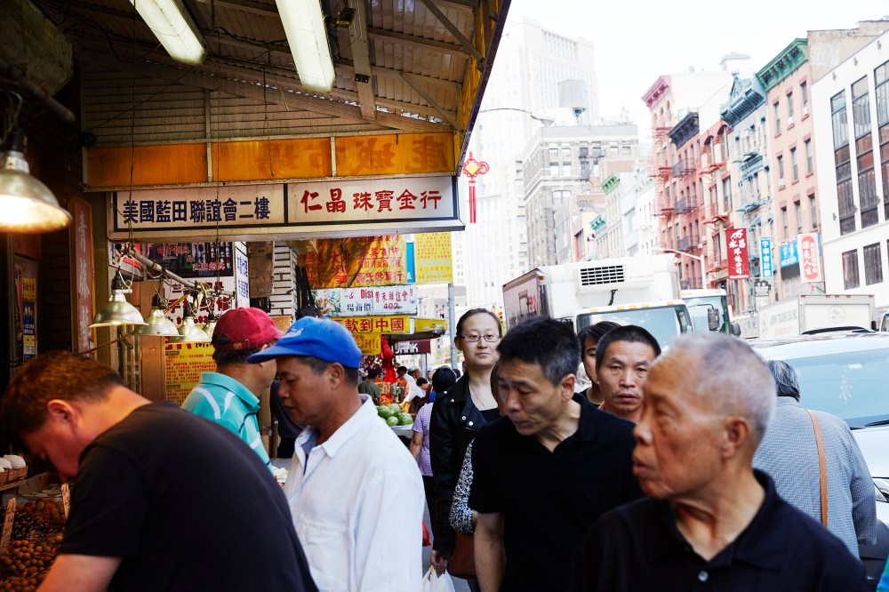 wagtailgirlsannakern_nyc_I06A0434