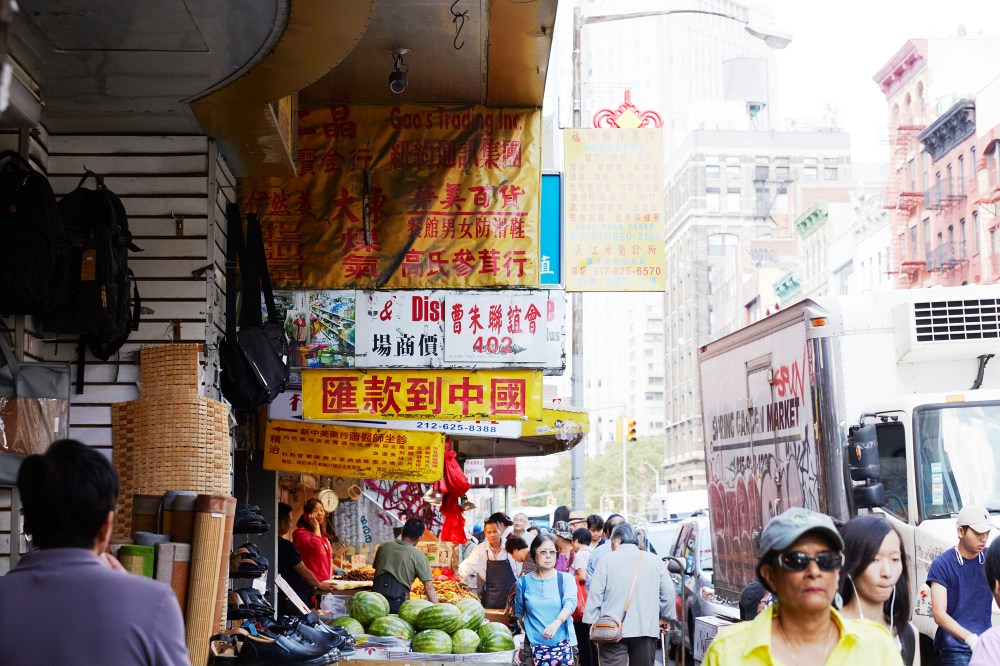 wagtailgirlsannakern_nyc_I06A0436