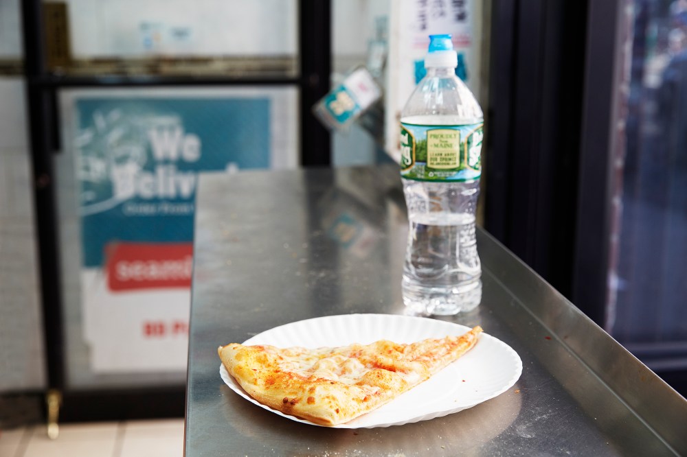 wagtailgirlsannakern_nyc_I06A0498