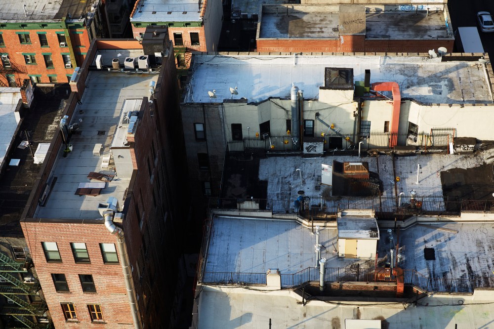 wagtailgirlsannakern_nyc_I06A1253