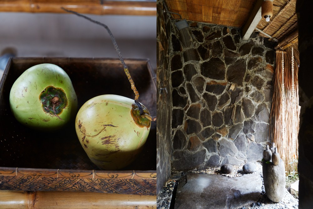 wagtailgirlsannakern_bambu1