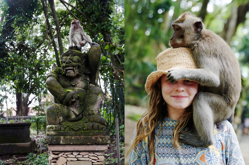 wagtailgirlsannakern_monkey1