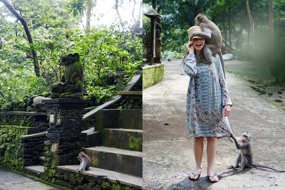 wagtailgirlsannakern_monkey2