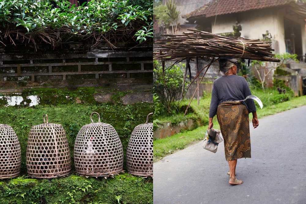 wagtailgirlsannakern_ubud8