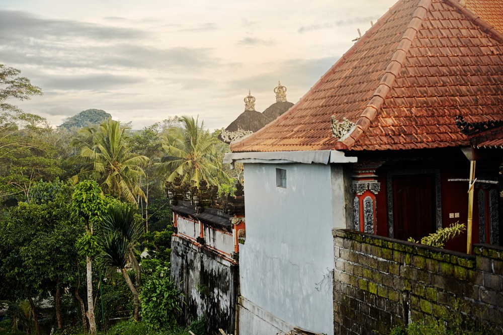 wagtailgirlsannakernI06A0402