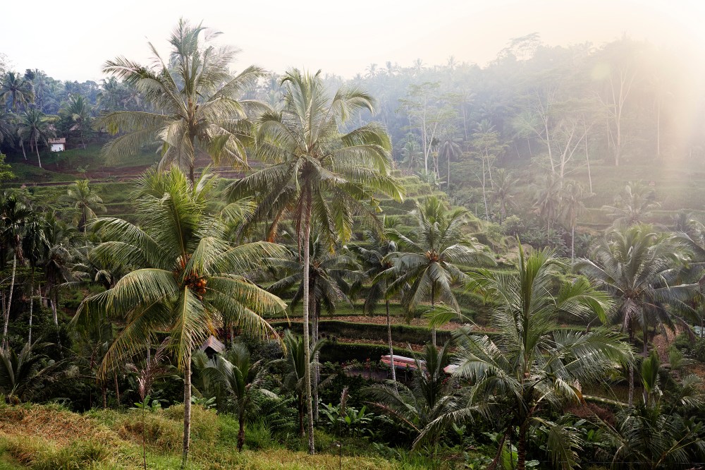 wagtailgirlsannakernI06A0450