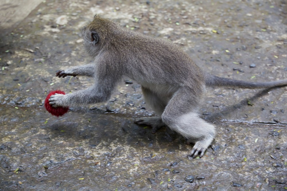 wagtailgirlsannakernI06A0663