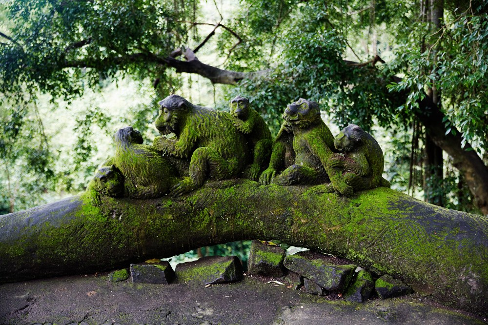 wagtailgirlsannakernI06A0805