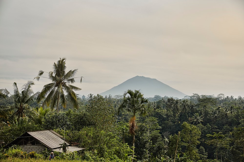 wagtailgirlsannakernI06A1733