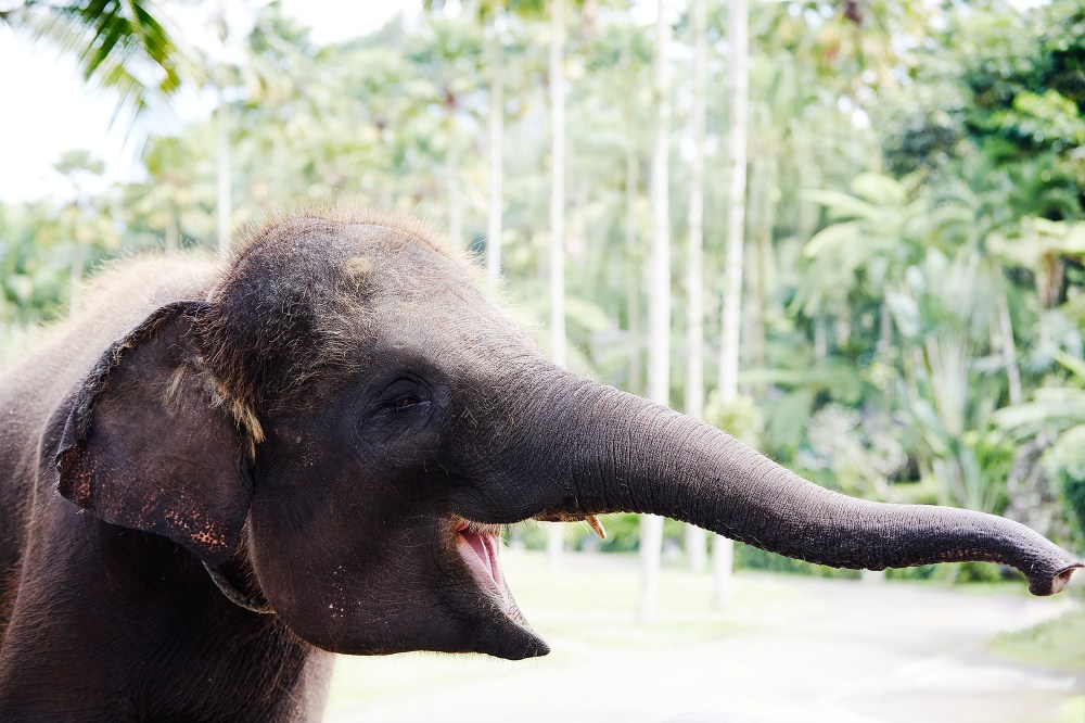 wagtailgirlsannakernI06A1788