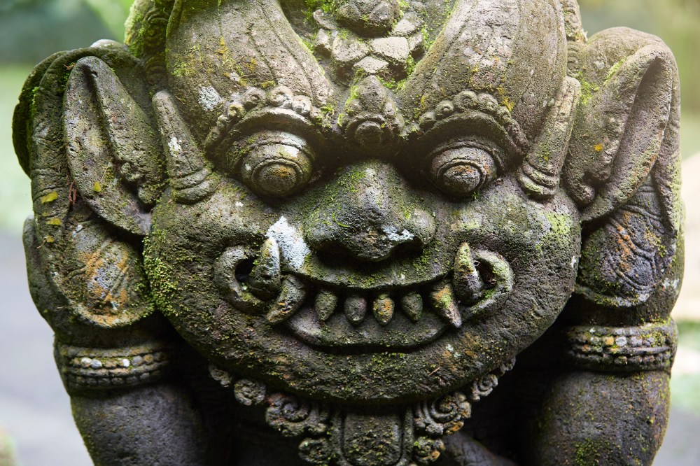 wagtailgirlsannakernI06A1932