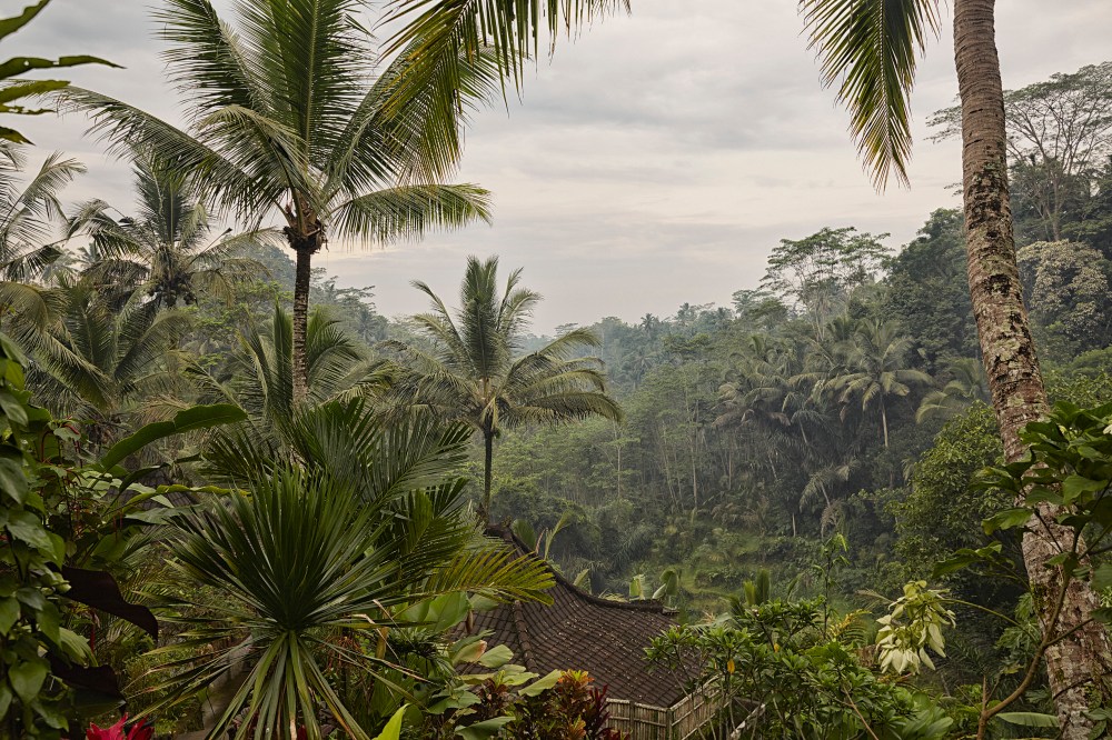 wagtailgirlsannakernI06A2243