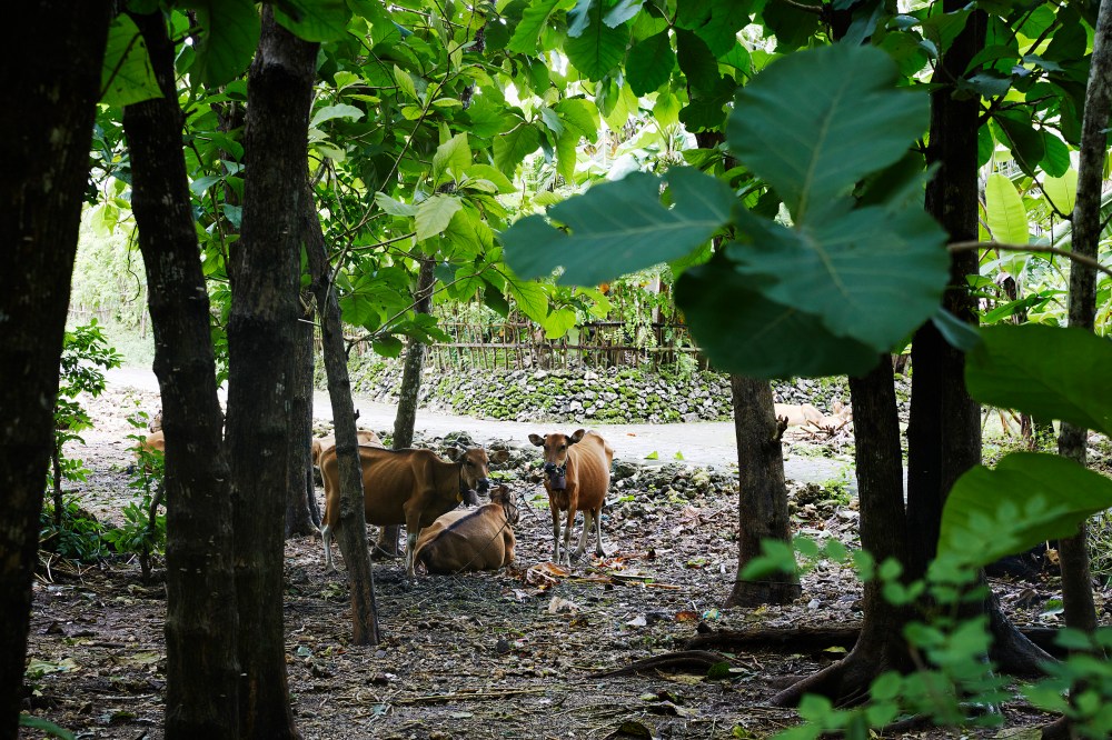 wagtailgirlsannakernI06A8235