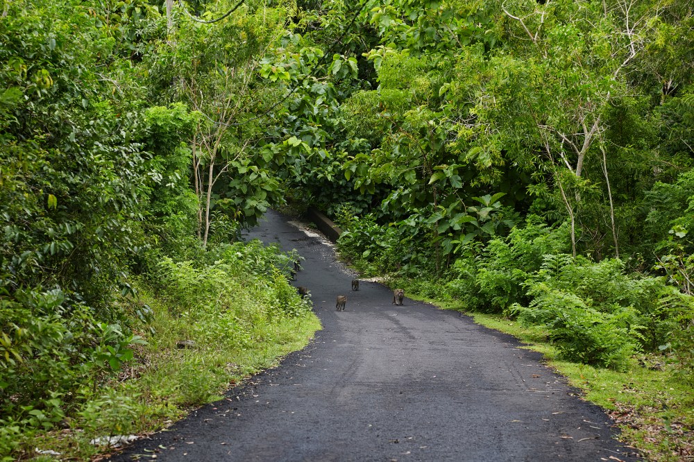 wagtailgirlsannakernI06A8254