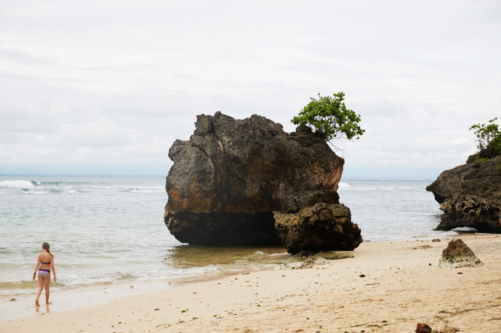 wagtailgirlsannakernI06A8283