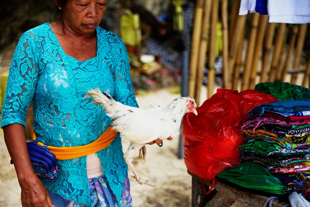 wagtailgirlsannakernI06A8511