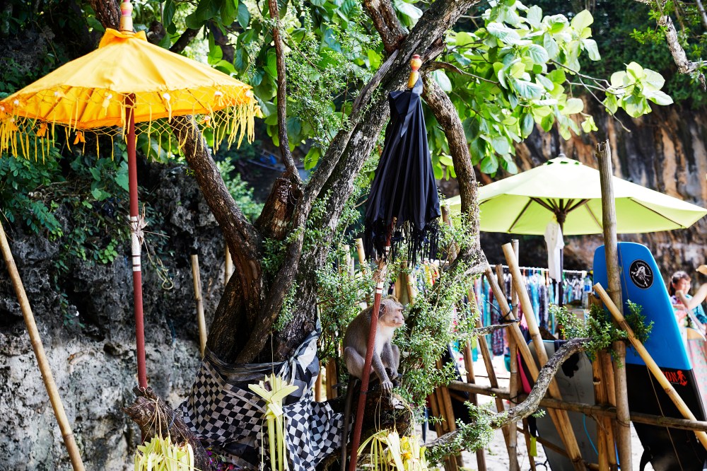 wagtailgirlsannakernI06A8544