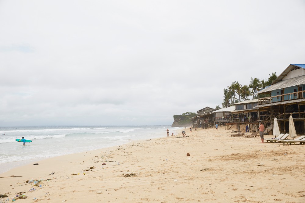 wagtailgirlsannakernI06A9482