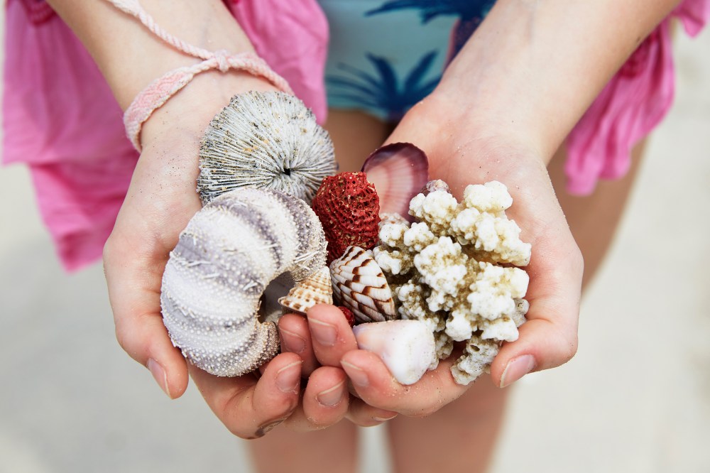 wagtailgirlsannakernI06A2847