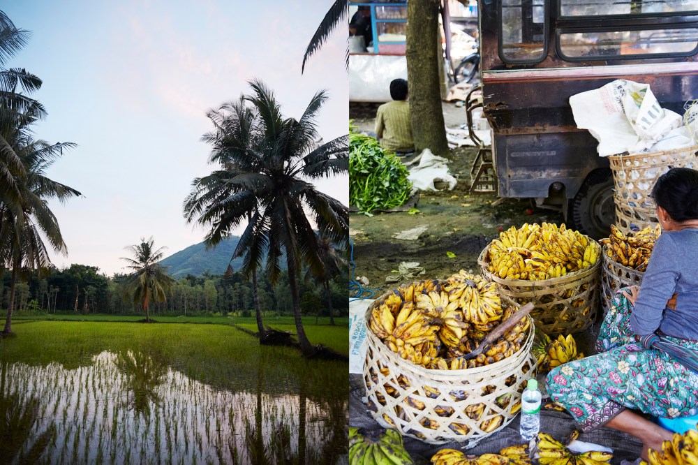 wagtailgirlsannakern_lombokmarket1