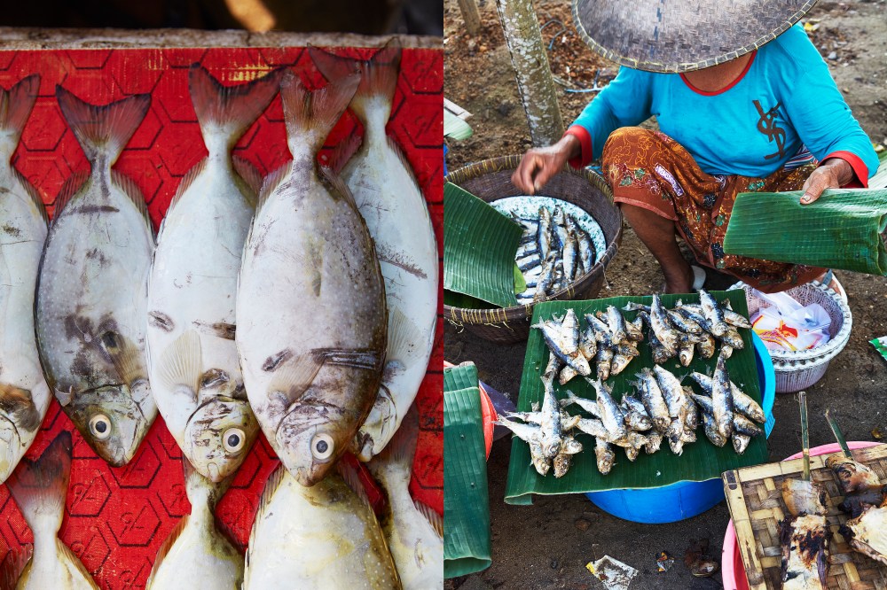 wagtailgirlsannakern_lombokmarket3