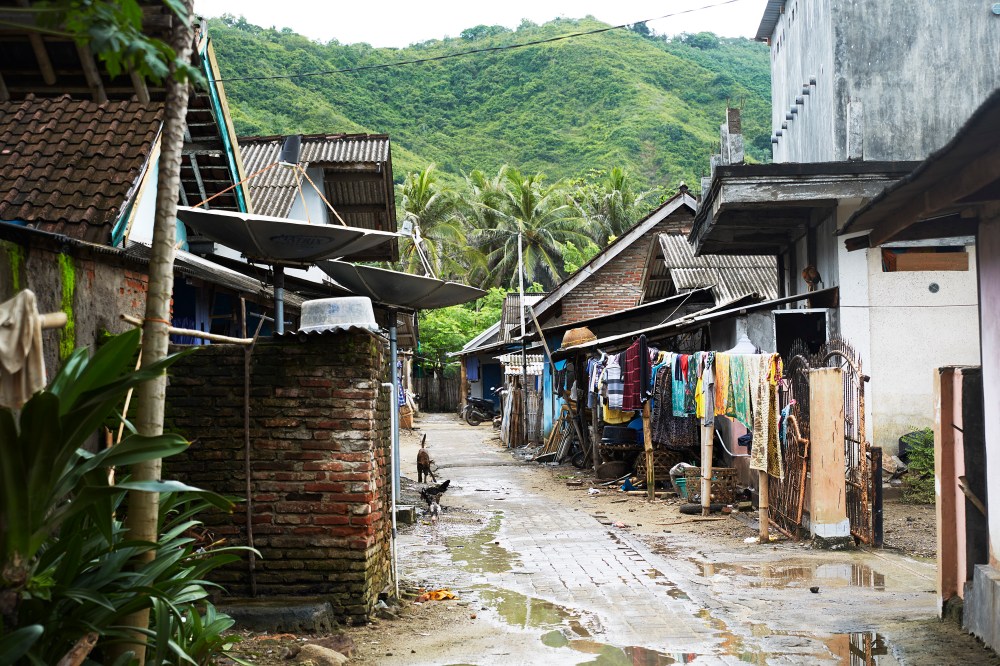 wagtailgirlsannakernI06A3608