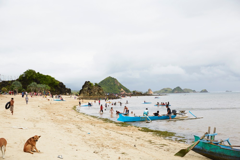 wagtailgirlsannakernI06A3622