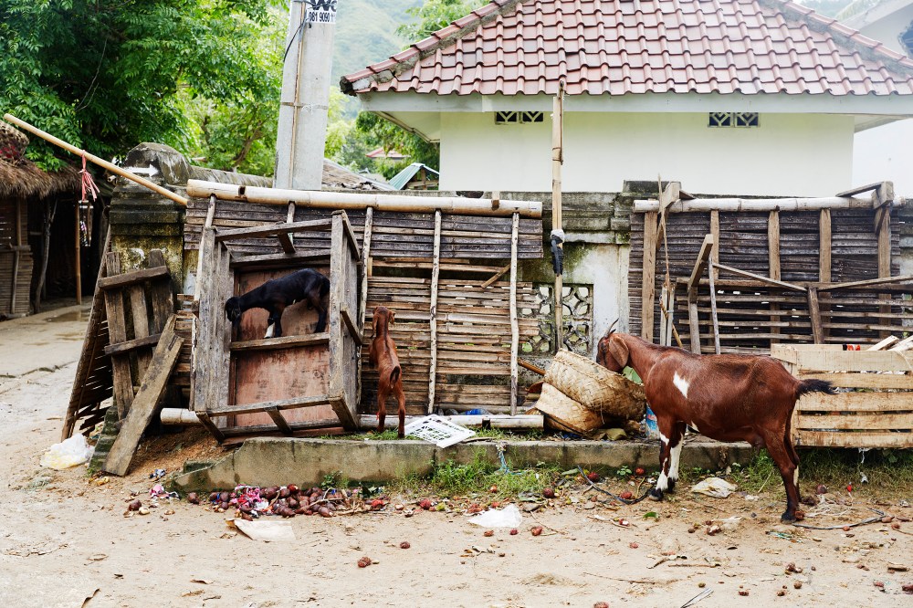 wagtailgirlsannakernI06A3643