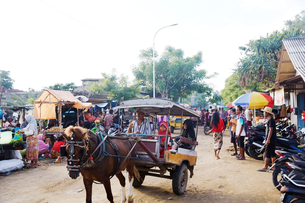 wagtailgirlsannakernI06A6699