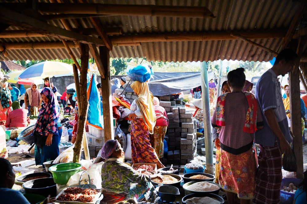 wagtailgirlsannakernI06A6751