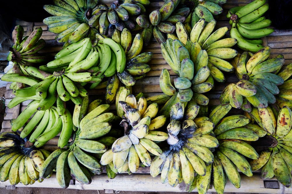 wagtailgirlsannakernI06A6769