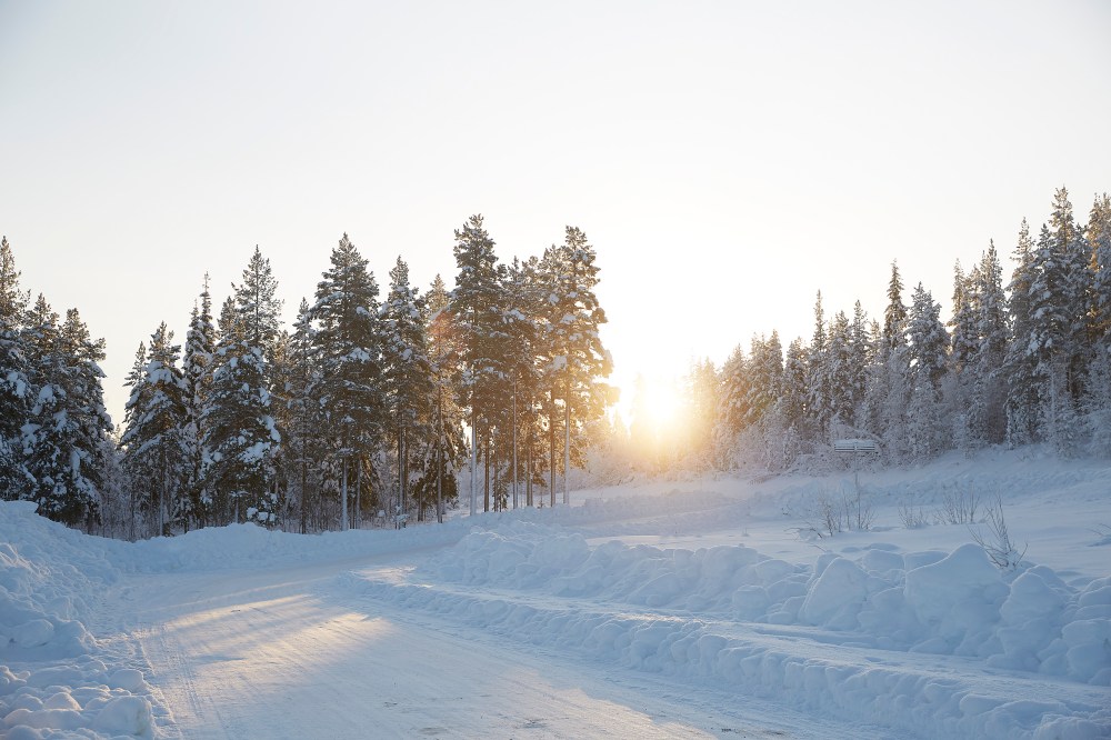 wagtailgirlsannakernI06A0297