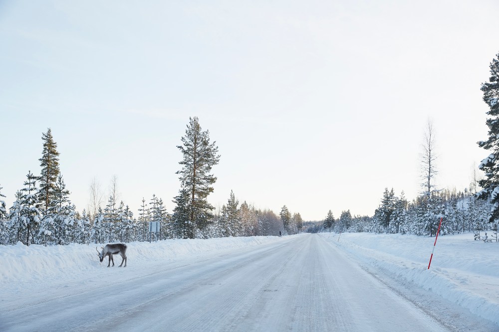 wagtailgirlsannakernI06A0637