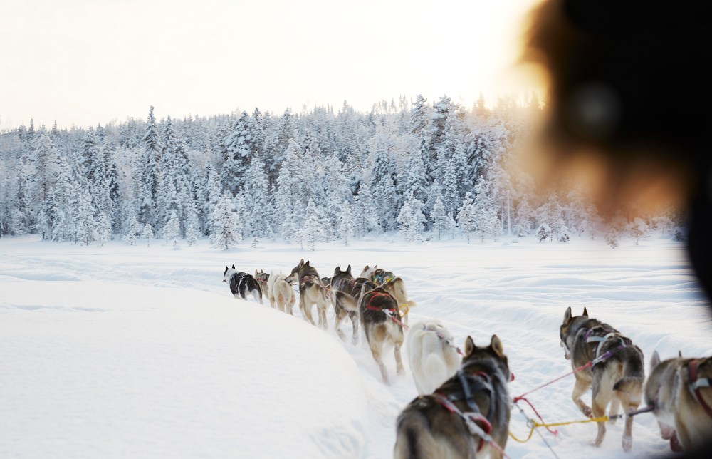 wagtailgirlsannakernI06A9421