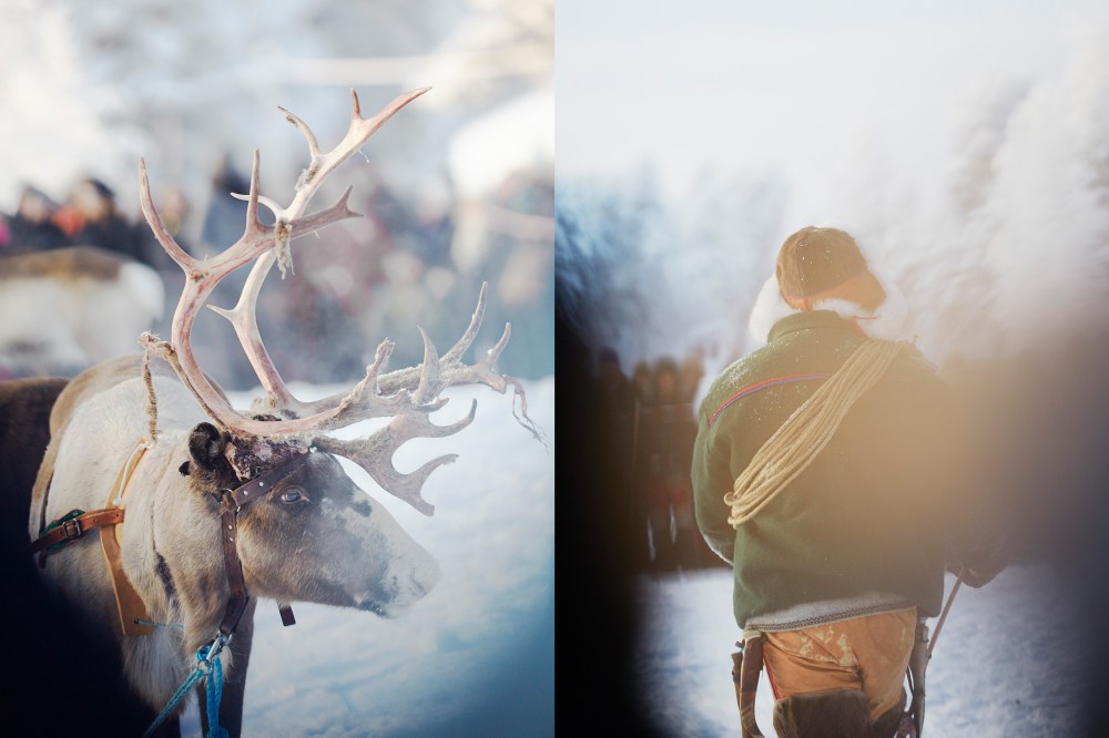 wagtailgirlsannakernrace1