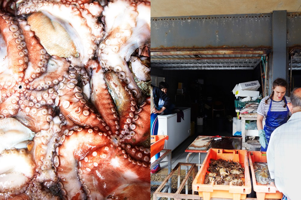 wagtailgirlsannakern_apulia2