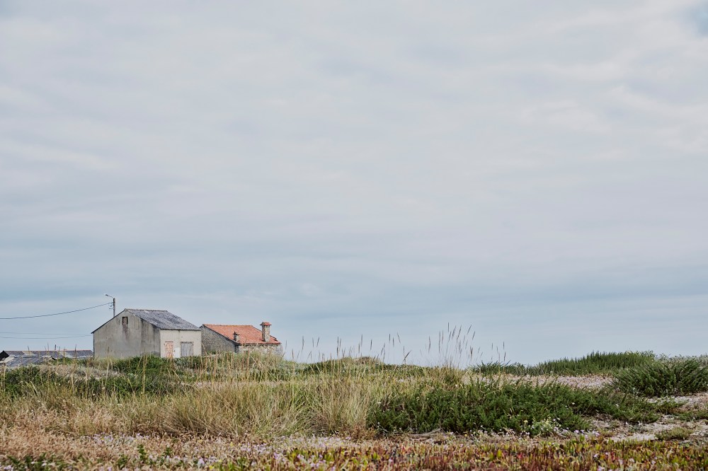 wagtailgirlsannakern_portugal_i06a6705